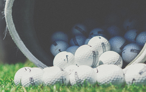 Visiter notre forum!