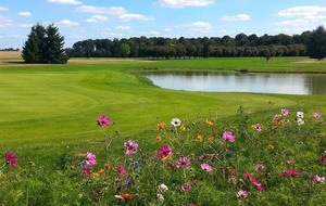 Challenge interne#4: Golf La Bosse